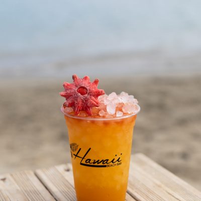 hawaii-cocktail (10)
